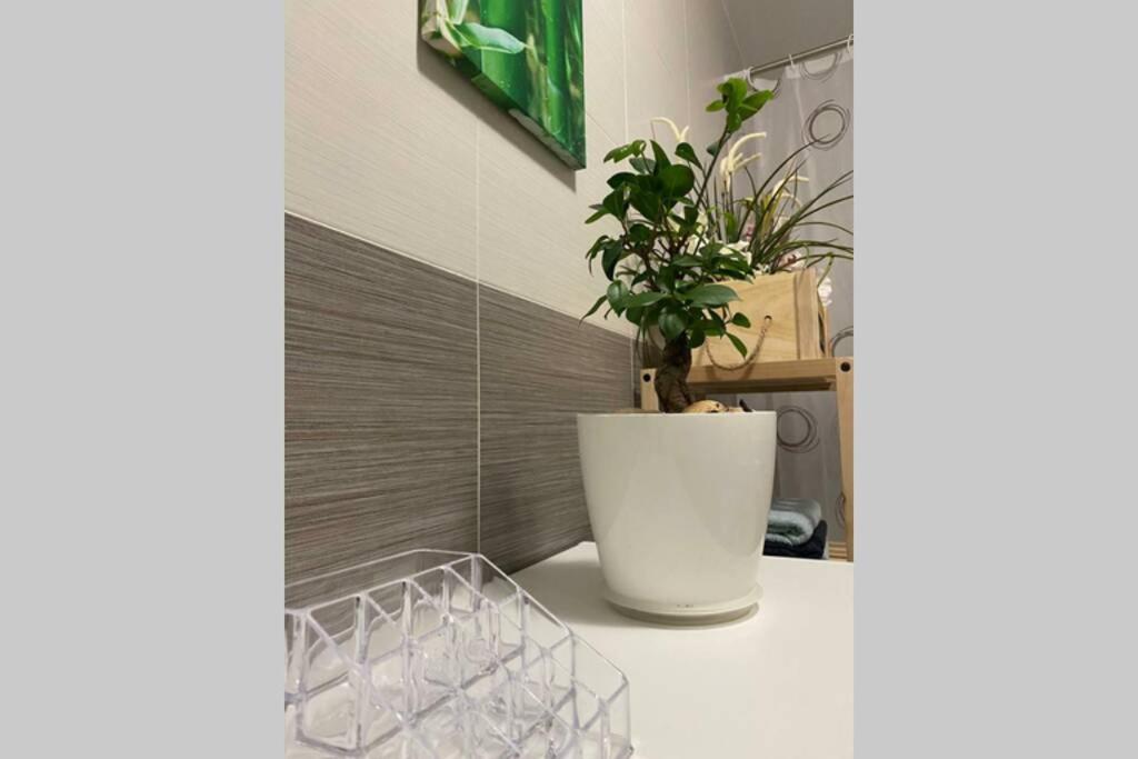 Apartamento A 600 M De La Playa Y El Castillo Santa Ana *