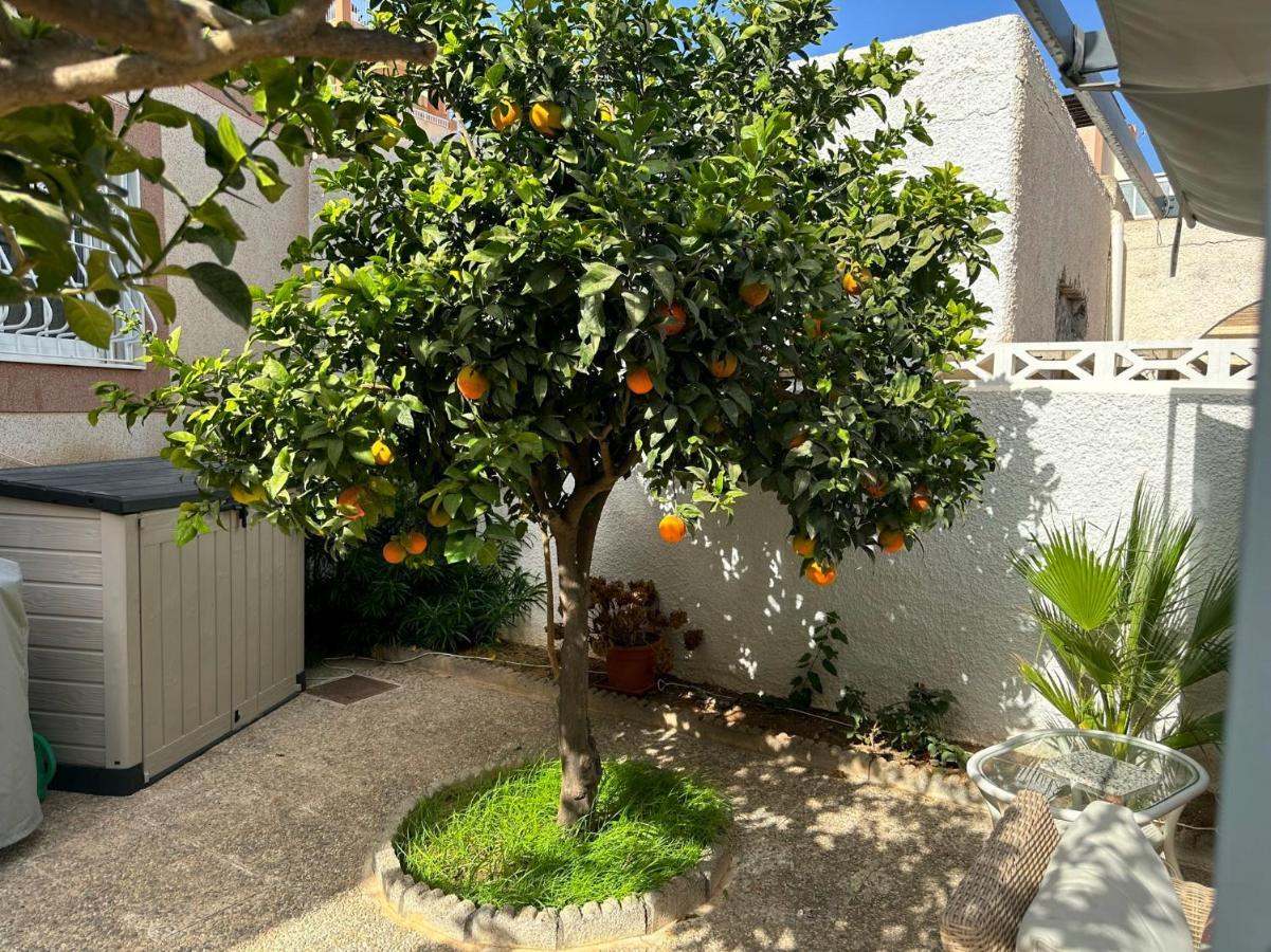 Holiday home Large Private Pool And Garden Near *