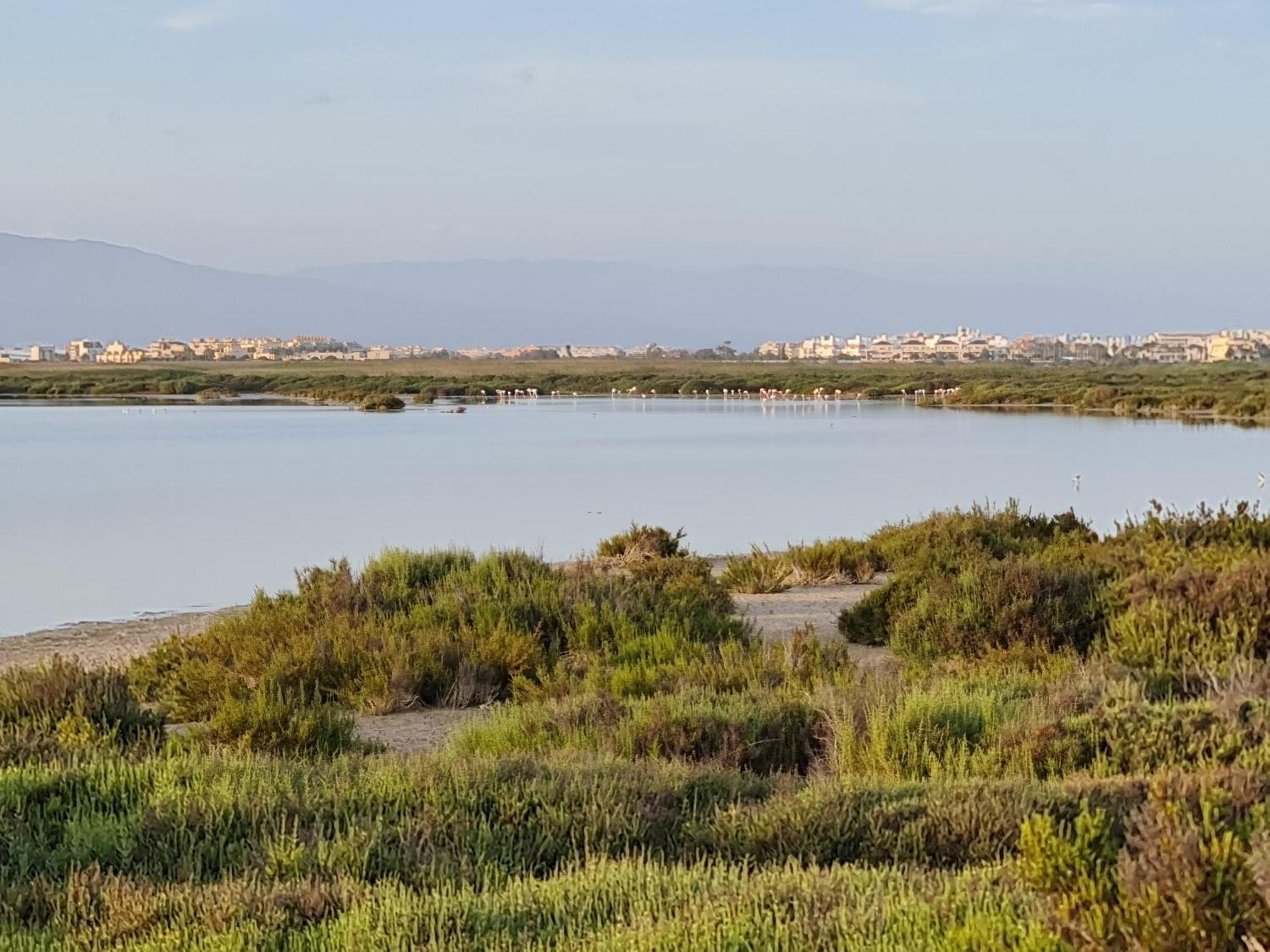 Apartamento Romana Con Piscina Privada Y Vistas Al Jardin Roquetas de Mar