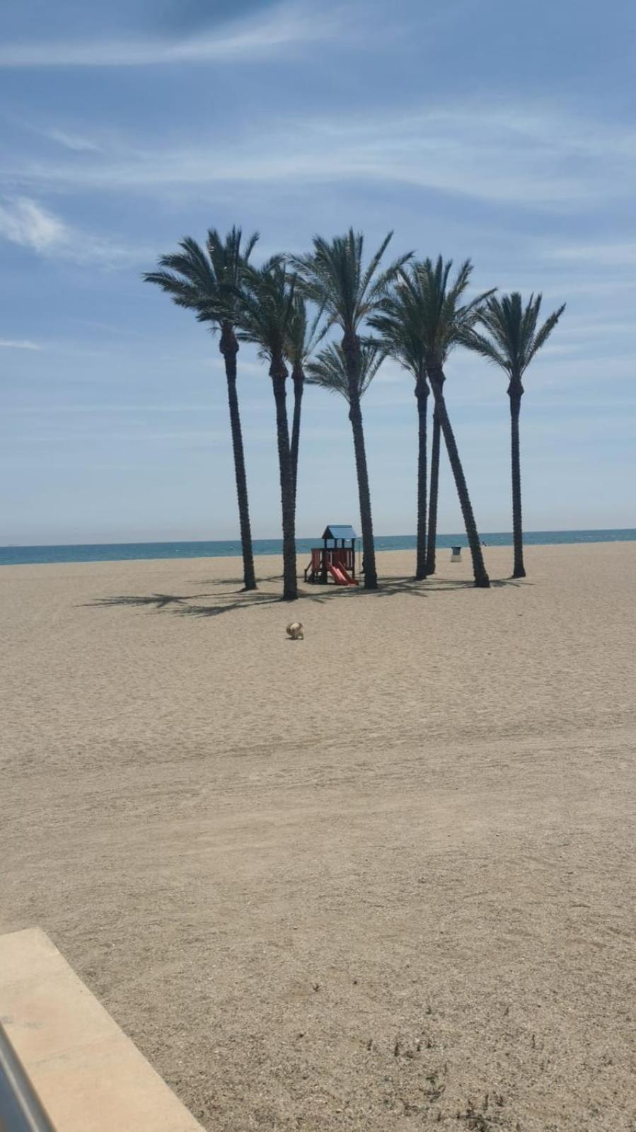 Apartamento Cositas De Playa