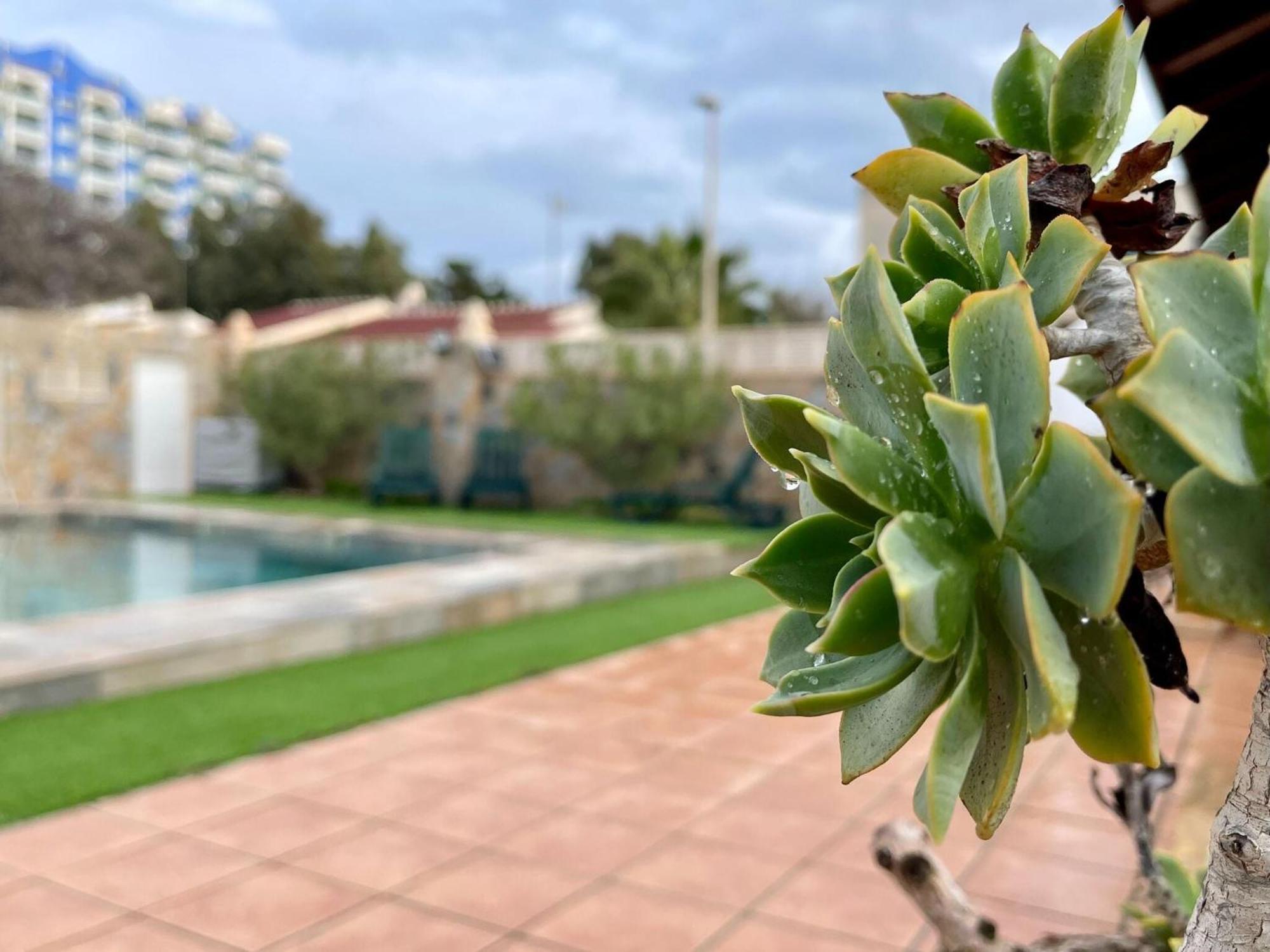 In Roquetas With Garden And Private Pool * Roquetas de Mar