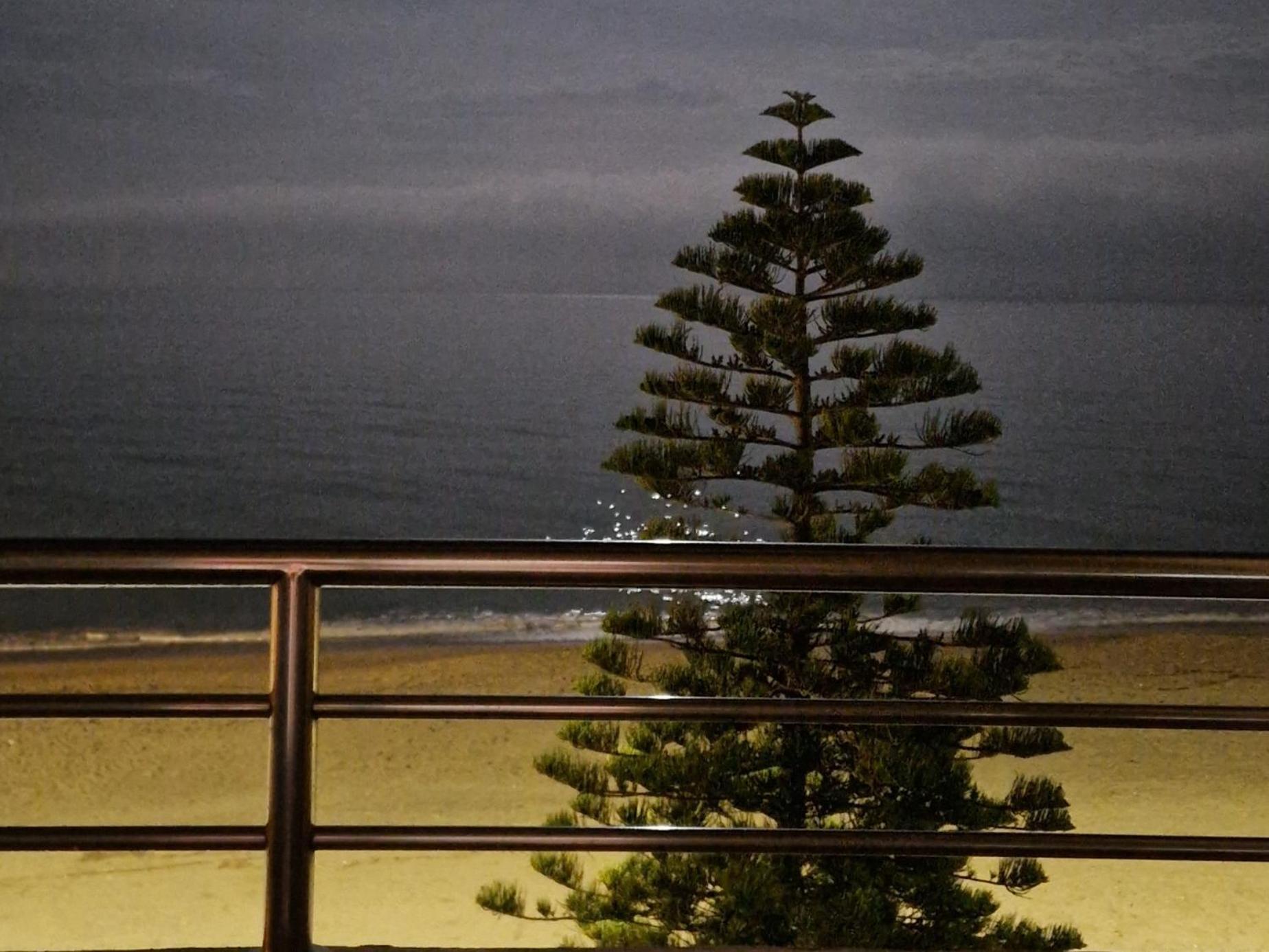 Atico Frente Al Mar, Un 