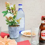 Stylish Apartments Club Tropicana