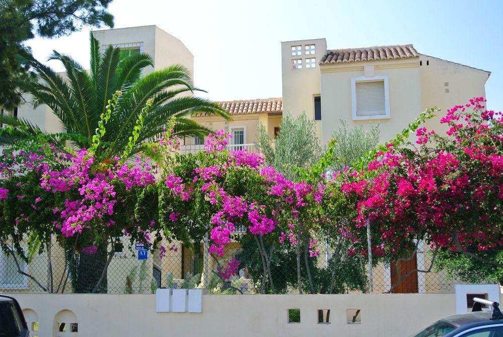 Apartamento Venecia Roquetas de Mar