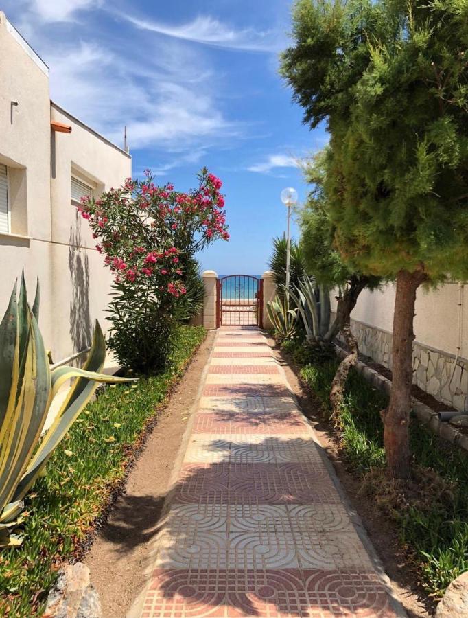 Estudio En Primera Línea De Mar Apartamento