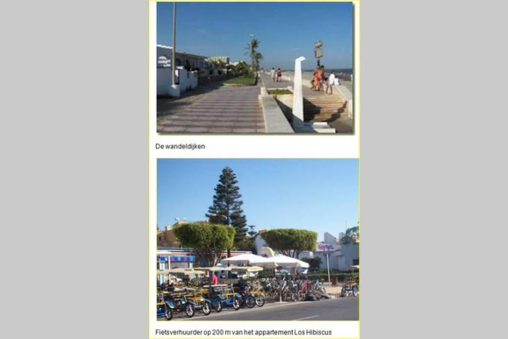 Apartamento Los Hibiscus, Swimming Pool, Beach, Near Golf *