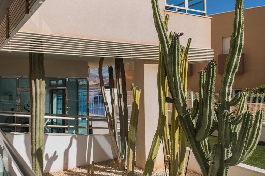 Expoholidays - Playa Salinas 4b Apartment Roquetas de Mar