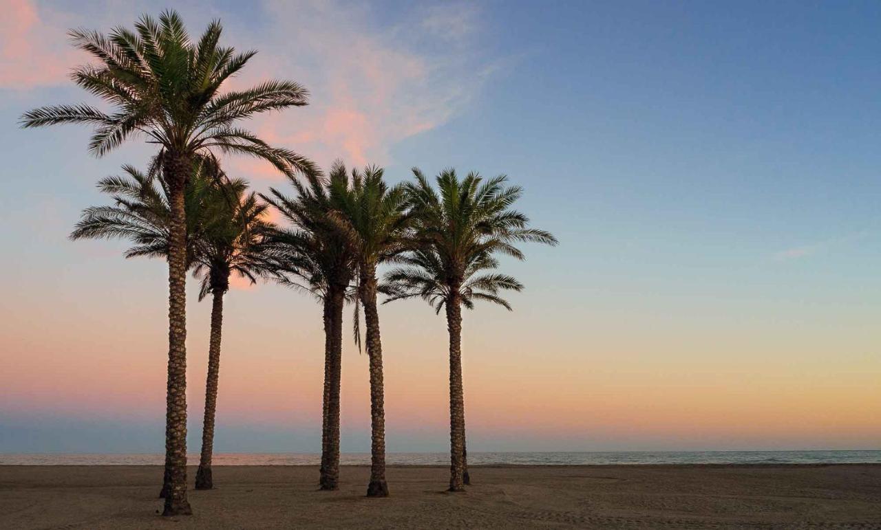 Apartamento Buganvilla