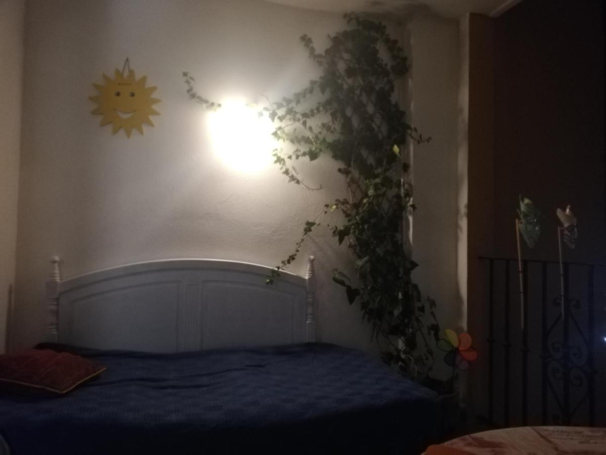 Apartamento Estudio Fenix Molinillos Roquetas de Mar