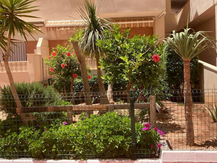 Apartamento Coqueto Y Acogedor Apartamento Con Piscina *