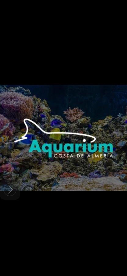 Apartment Piso Con Vistas Al Mar, Piscina, Terracita, Padel Y Zona De Juego Para Ninos