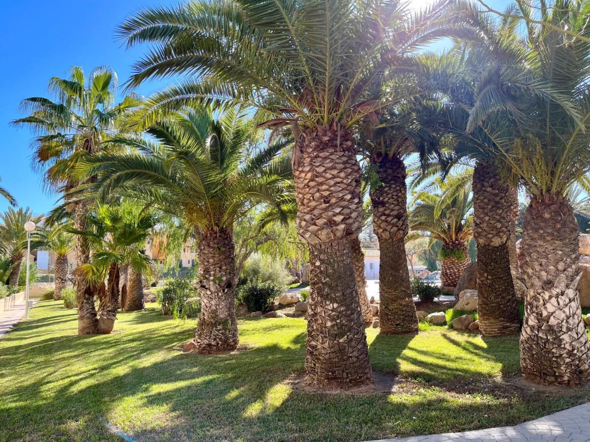 Moguima Roquetas de Mar
