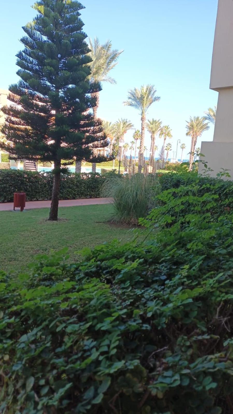 Ap-to Frente Al Mar Villaromana Apartamento *
