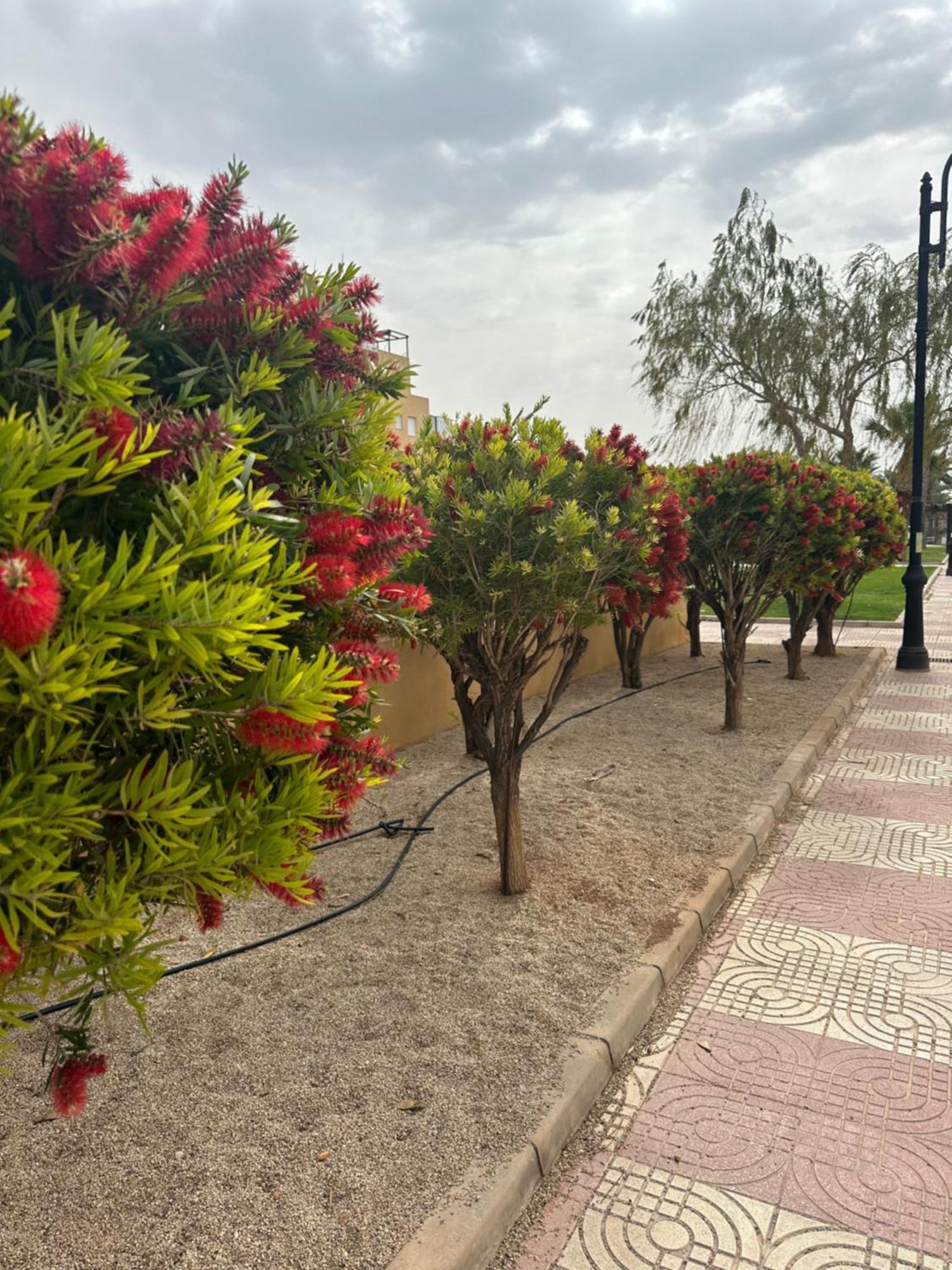 Aguadulce Sol Y Playa- A/c Apartamento *