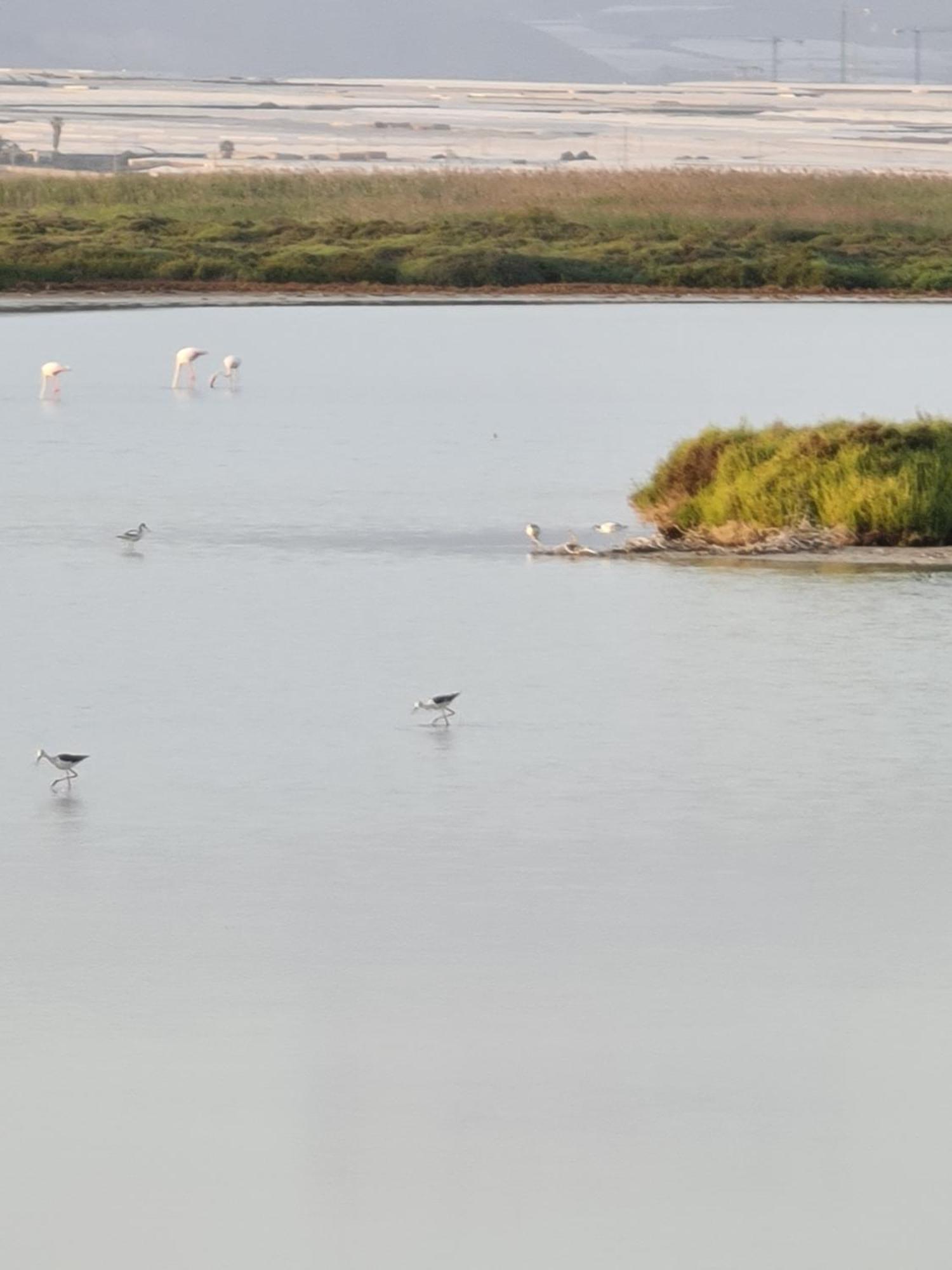 Ap-to Frente Al Mar Villaromana *