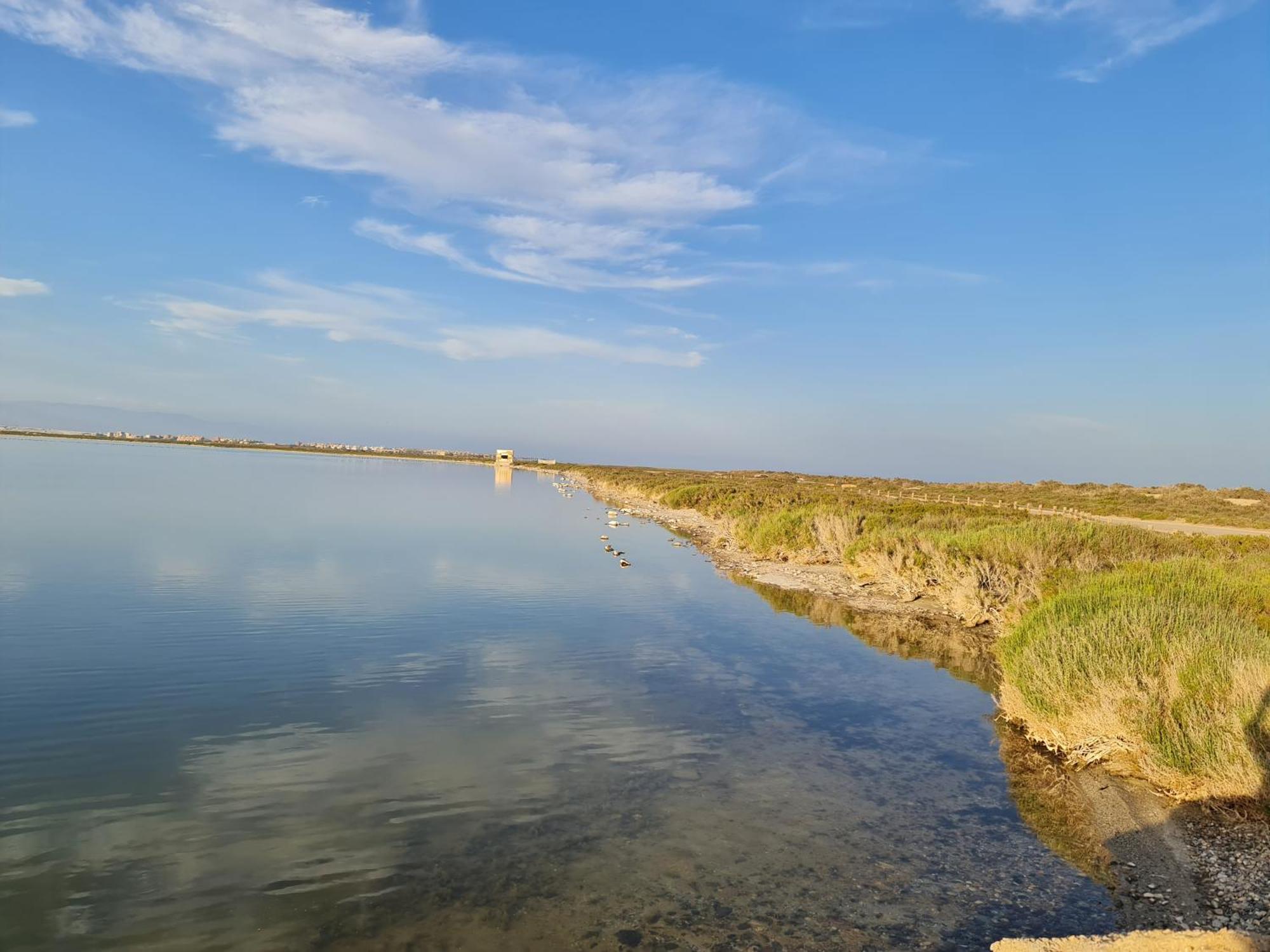 Ap-to Frente Al Mar Villaromana Apartamento