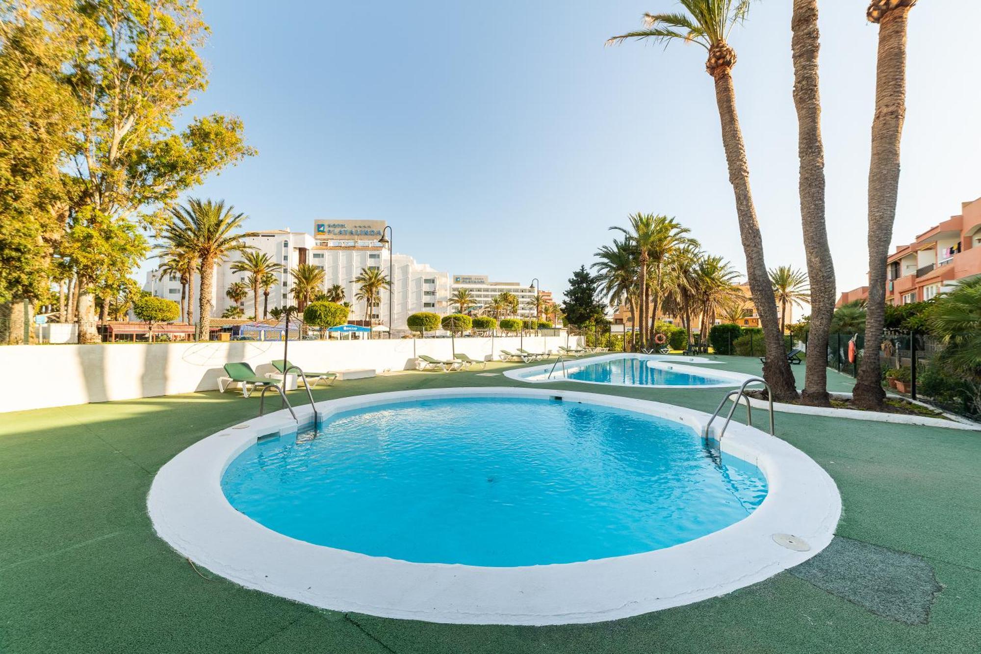 Buganvillas Roquetas de Mar