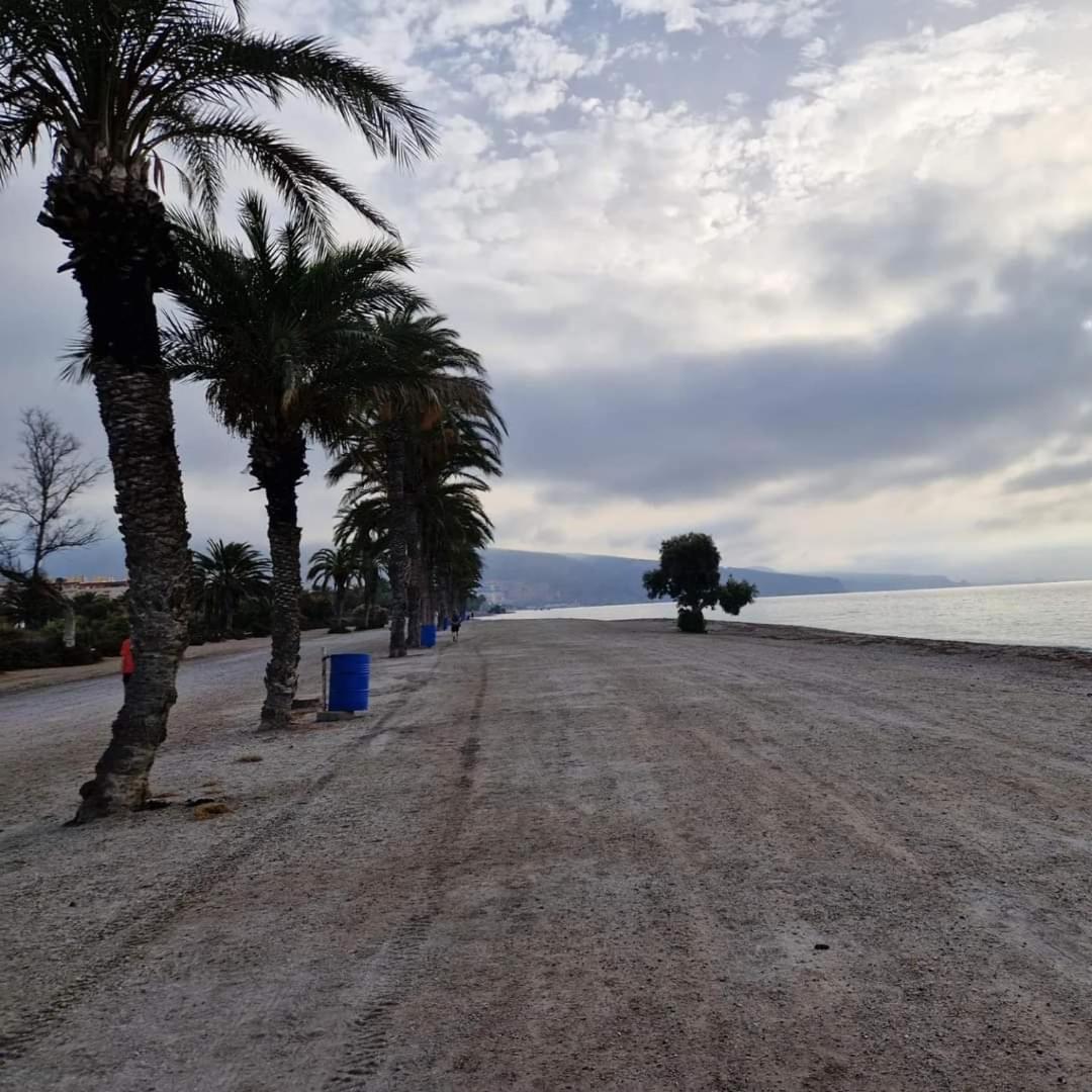 Taray Roquetas de Mar