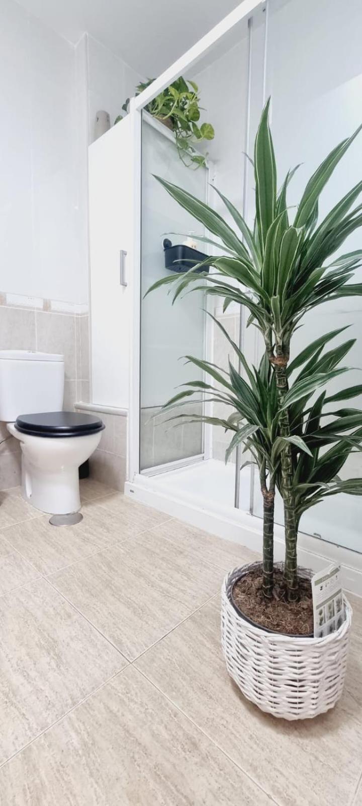 Apartment Natural - Con Aire *