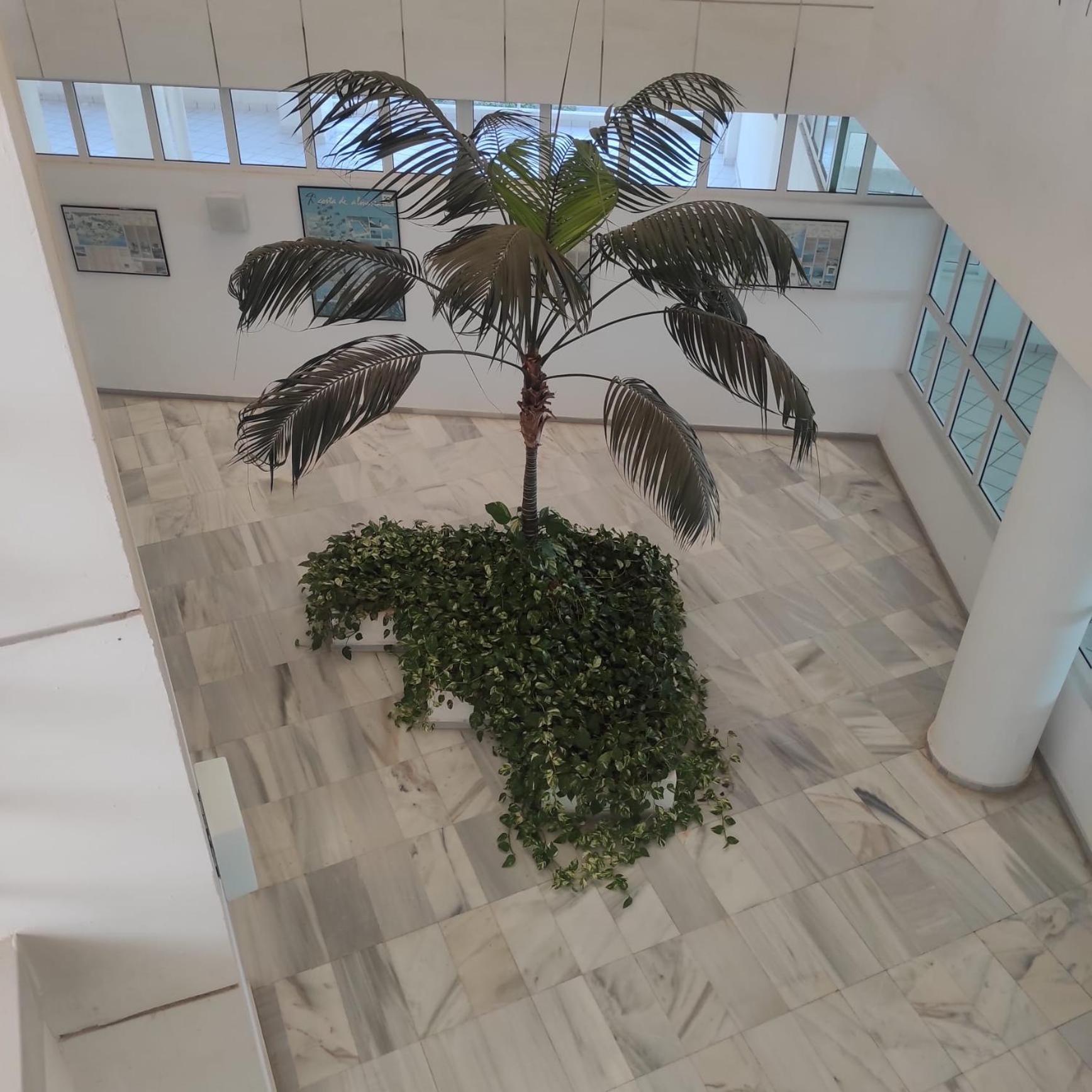 Apartment Faro 1 Lineaplaya *