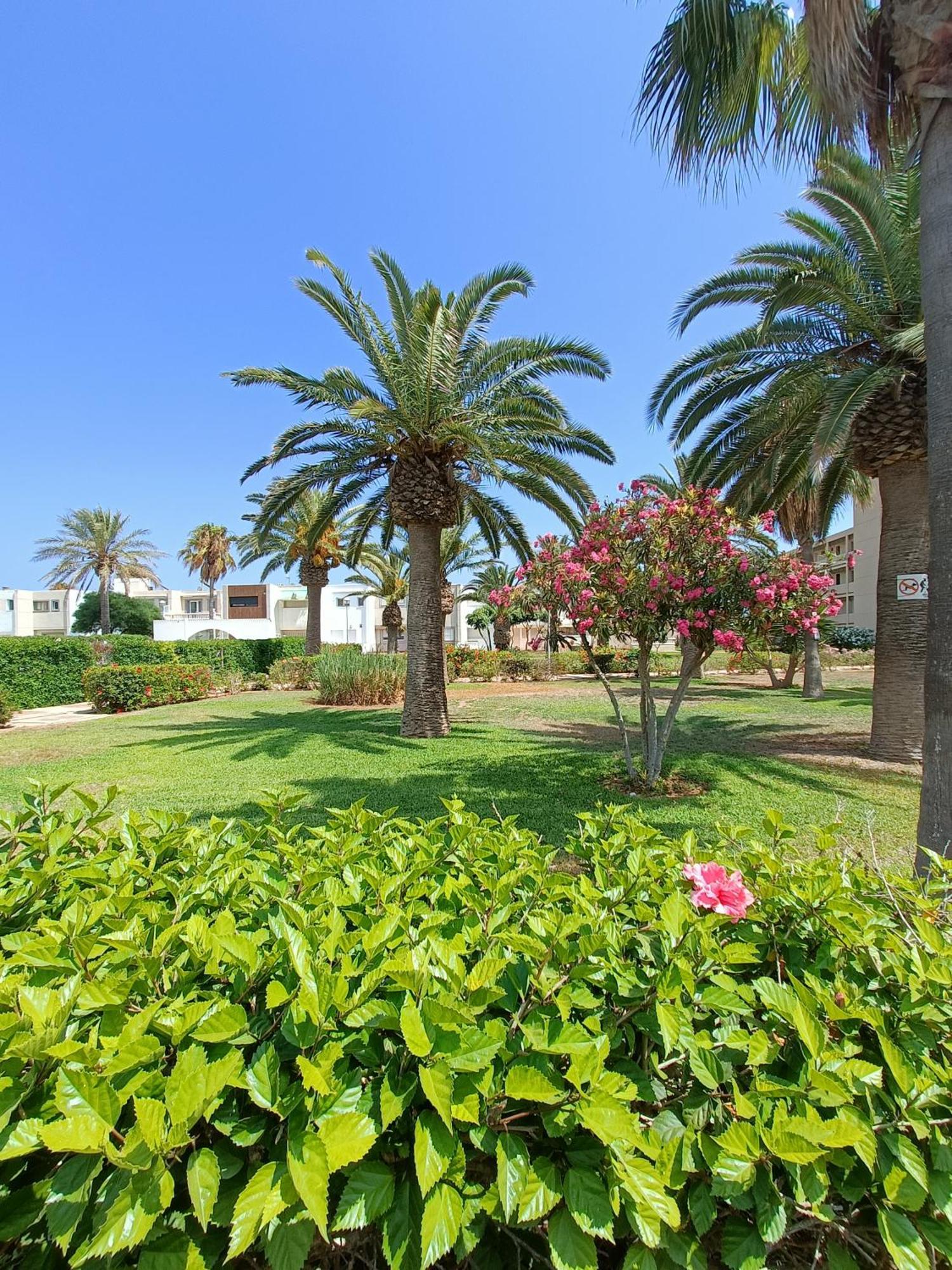 Apto Tropicana Con Salida Directa Al Mar Y Piscina Roquetas de Mar