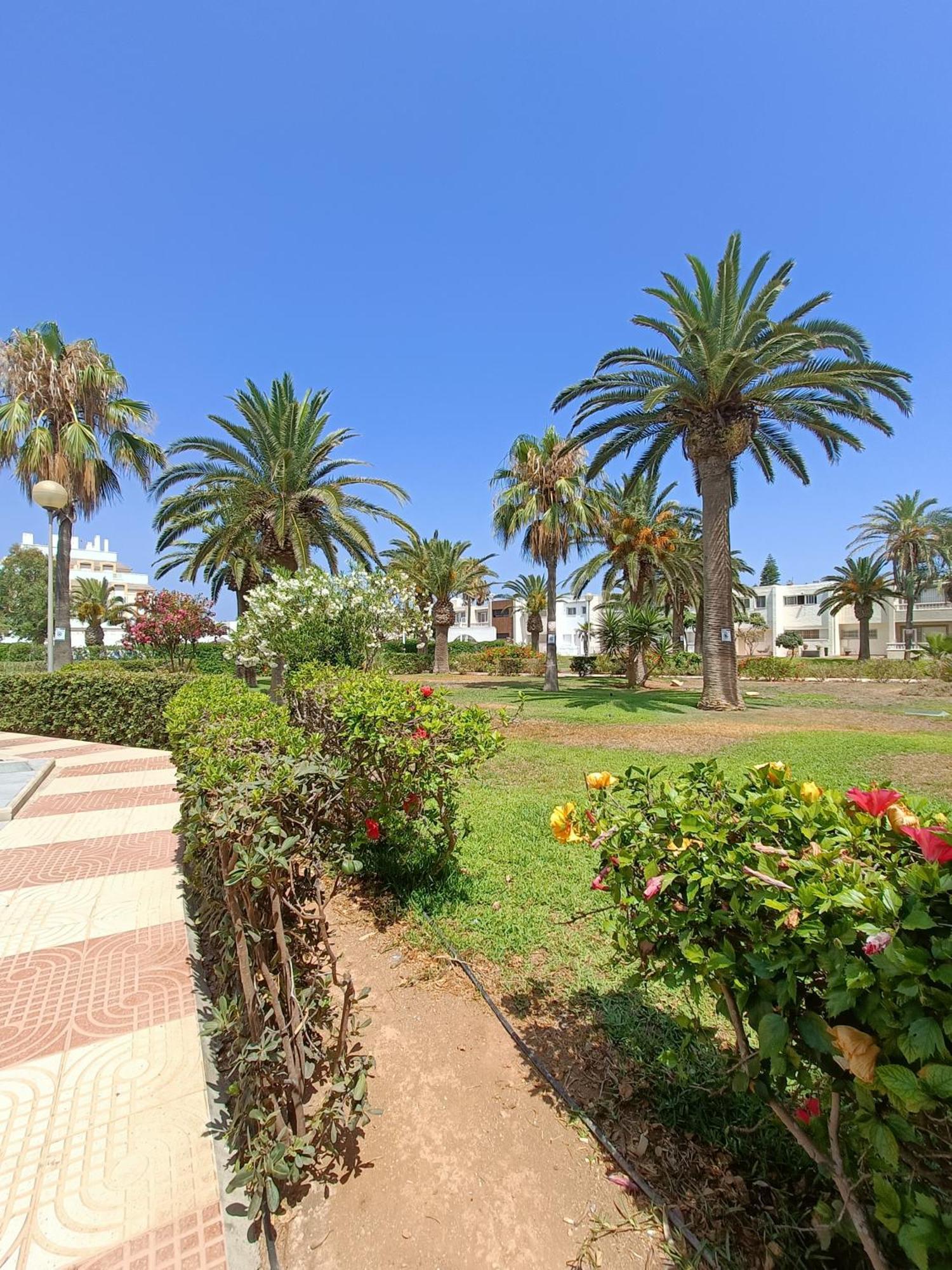 Apto Tropicana Con Salida Directa Al Mar Y Piscina * Roquetas de Mar