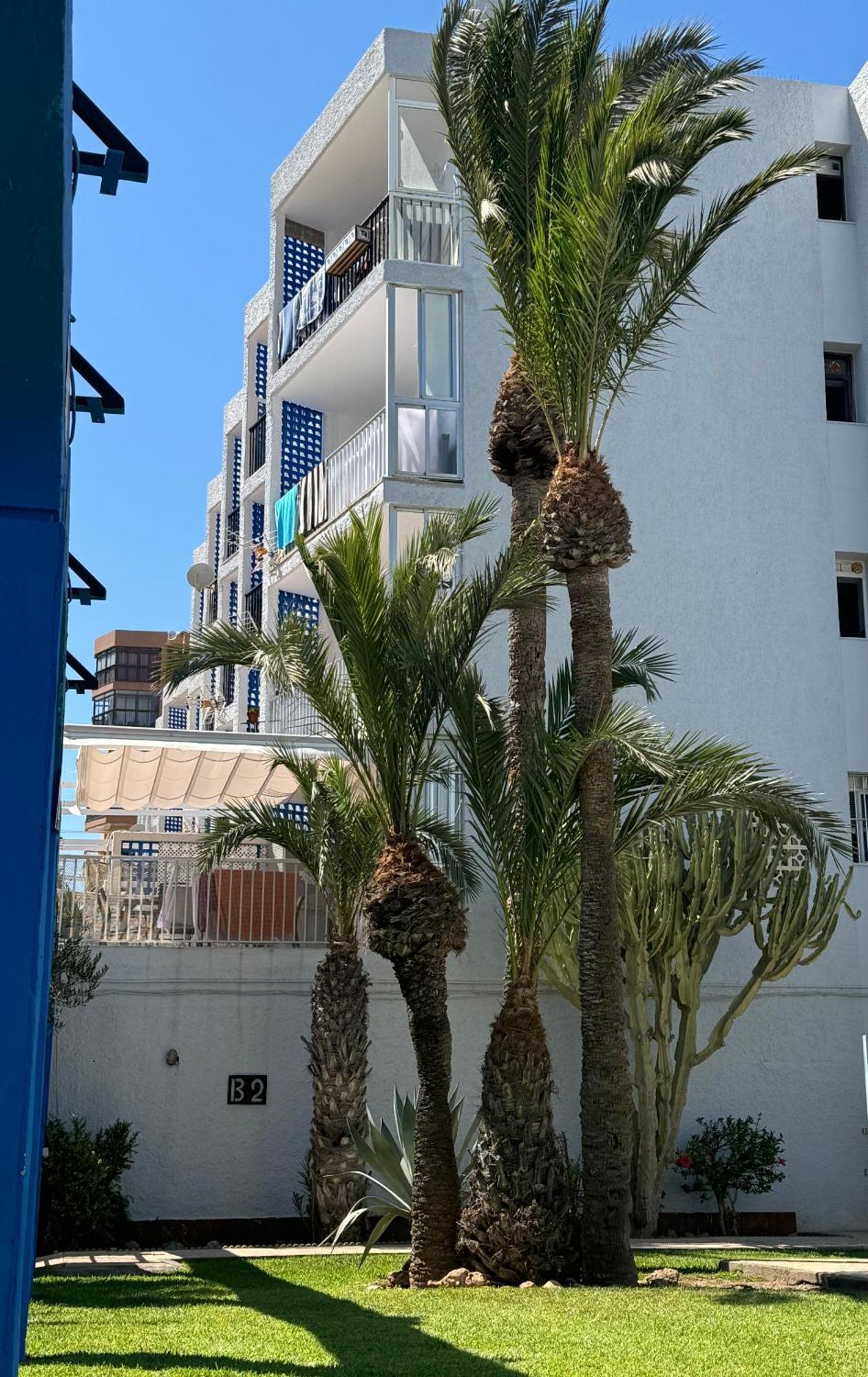 Chumberas Apartamento Roquetas de Mar