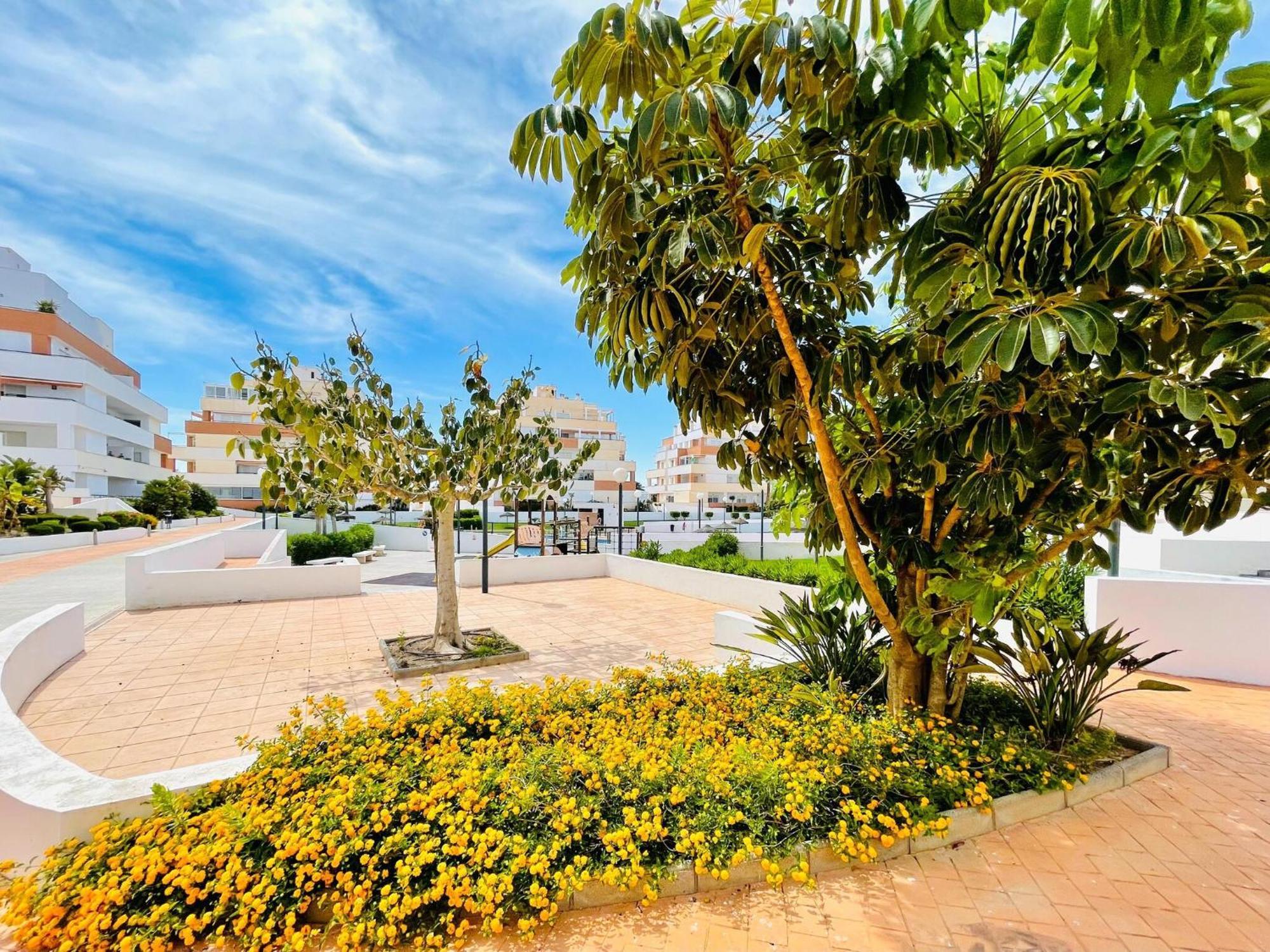 Apartamento With Shared Pool