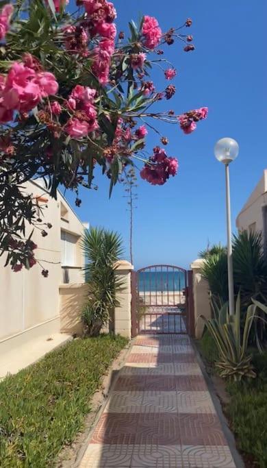 La Margarita Apartment, Club Tropicana Roquetas de Mar
