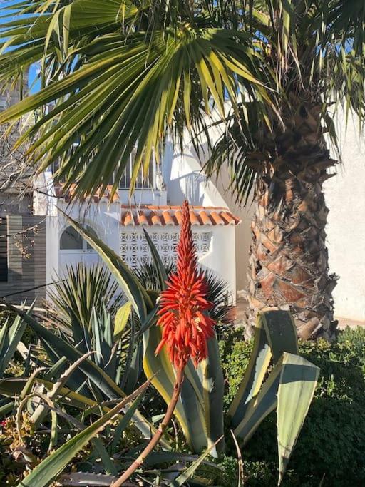 La Margarita Apartment, Club Tropicana Roquetas de Mar