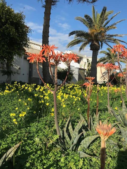 La Margarita Apartment, Club Tropicana Roquetas de Mar