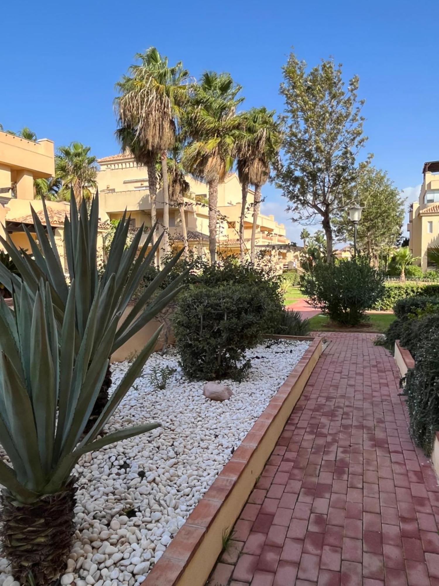 Romana Golf Urbanizacion Con Wifi, Amplia Terraza, Piscinas, Paddel *