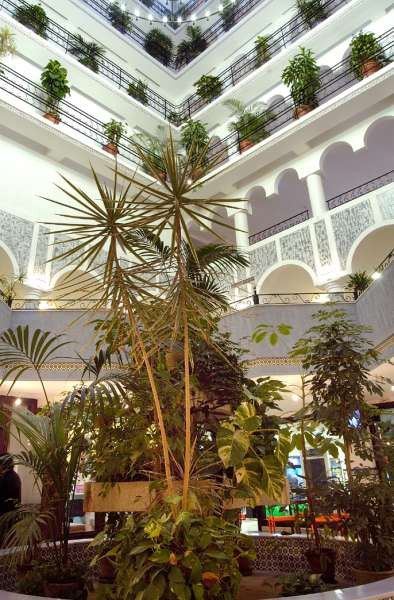 Evenia Zoraida Garden Resort 4*