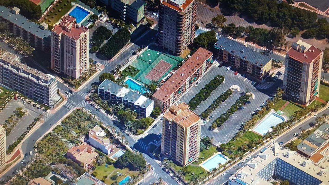 El Palmeral