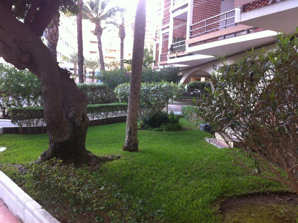 Apartamento El Palmeral