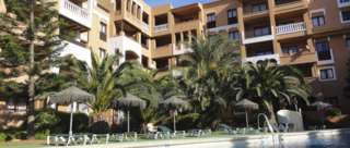 Estrella De Mar