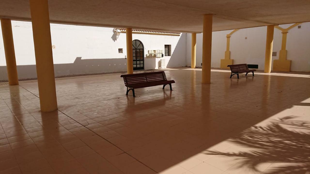 Apartamento Dandelion / Roquemar *