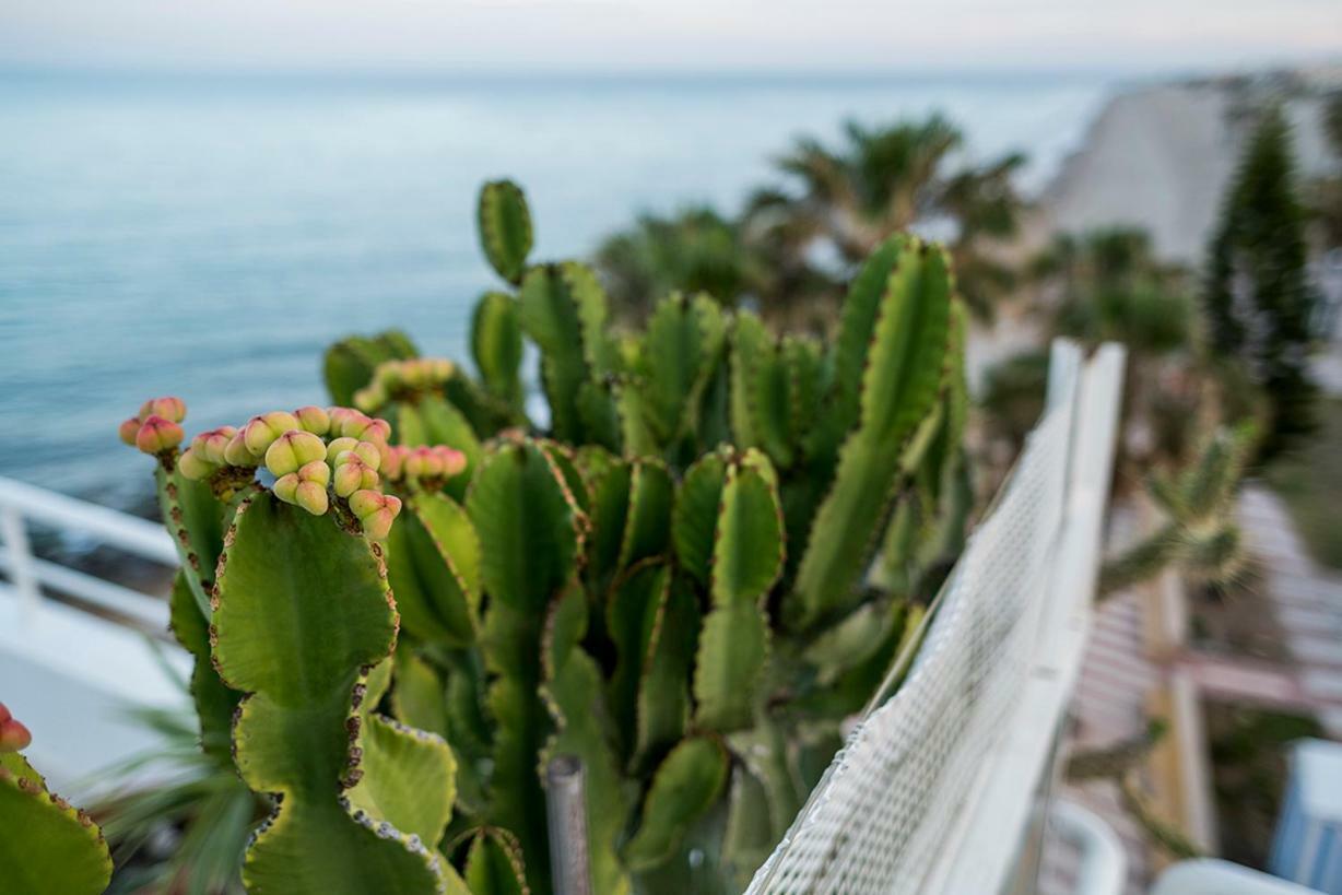 Apartamento Atico En Faro