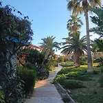 Tropicana Playa