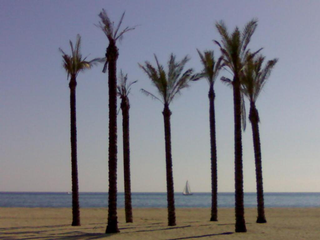 Atractivo En La Playa Con Parking Apartamento