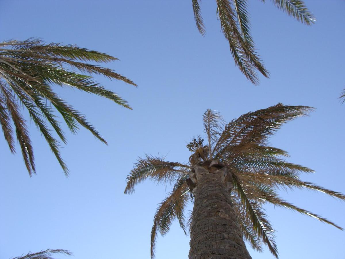 Pelicanos Golf & - Spacious And Modern With Terrace And Private Pool * Roquetas de Mar