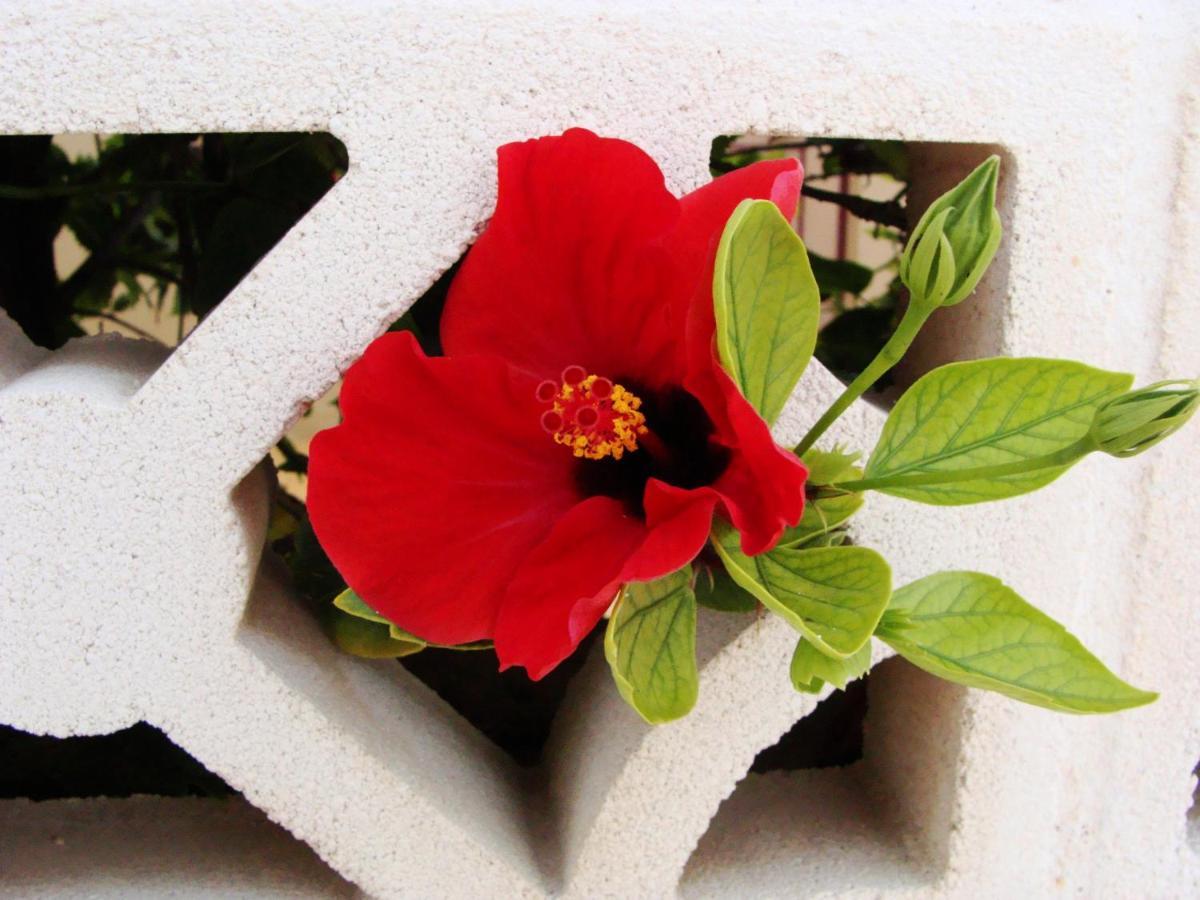 Apartamento Pelicanos Golf & - Spacious And Modern With Terrace And Private Pool Roquetas de Mar