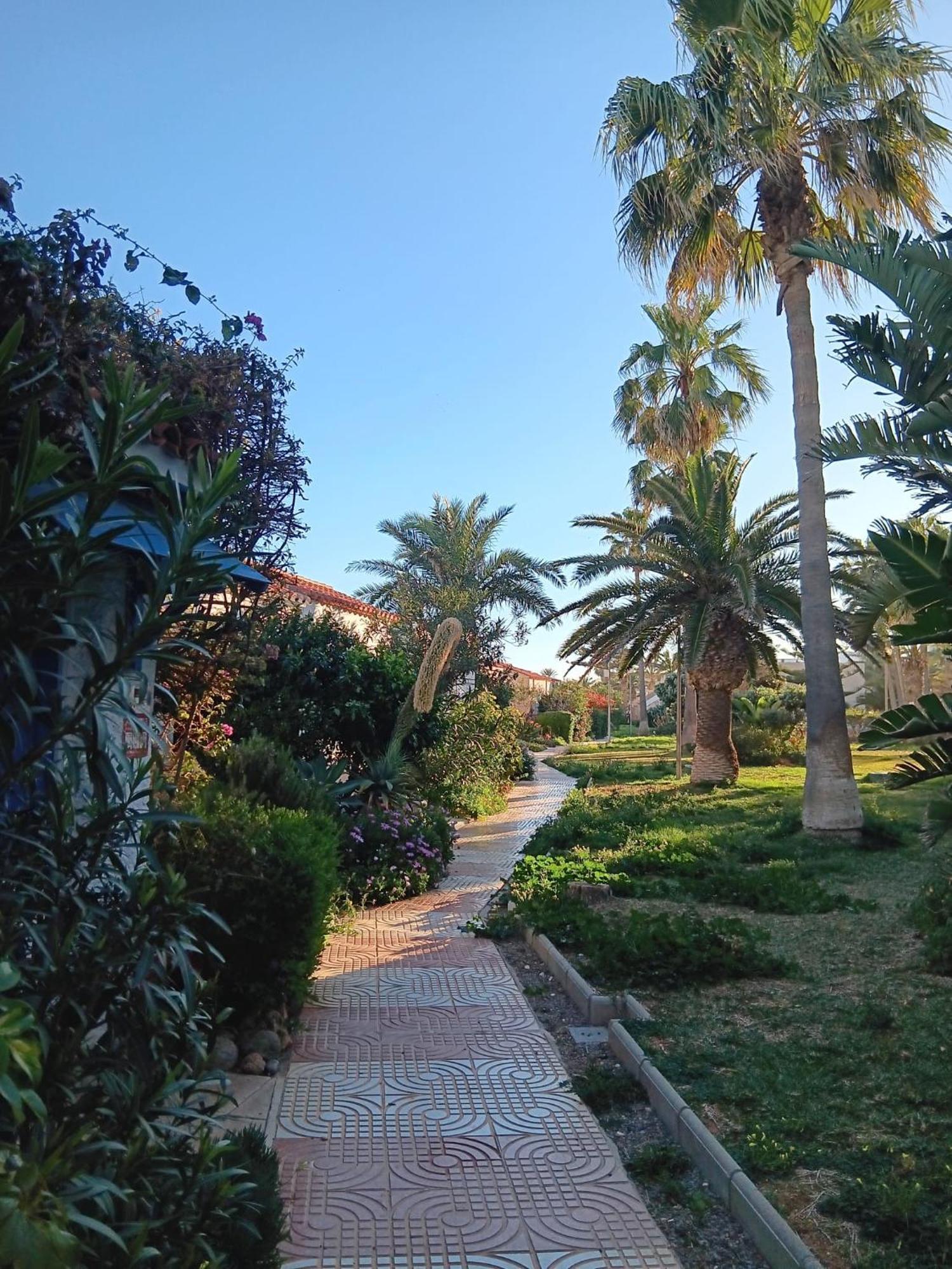 Tropicana Playa Apartamento *