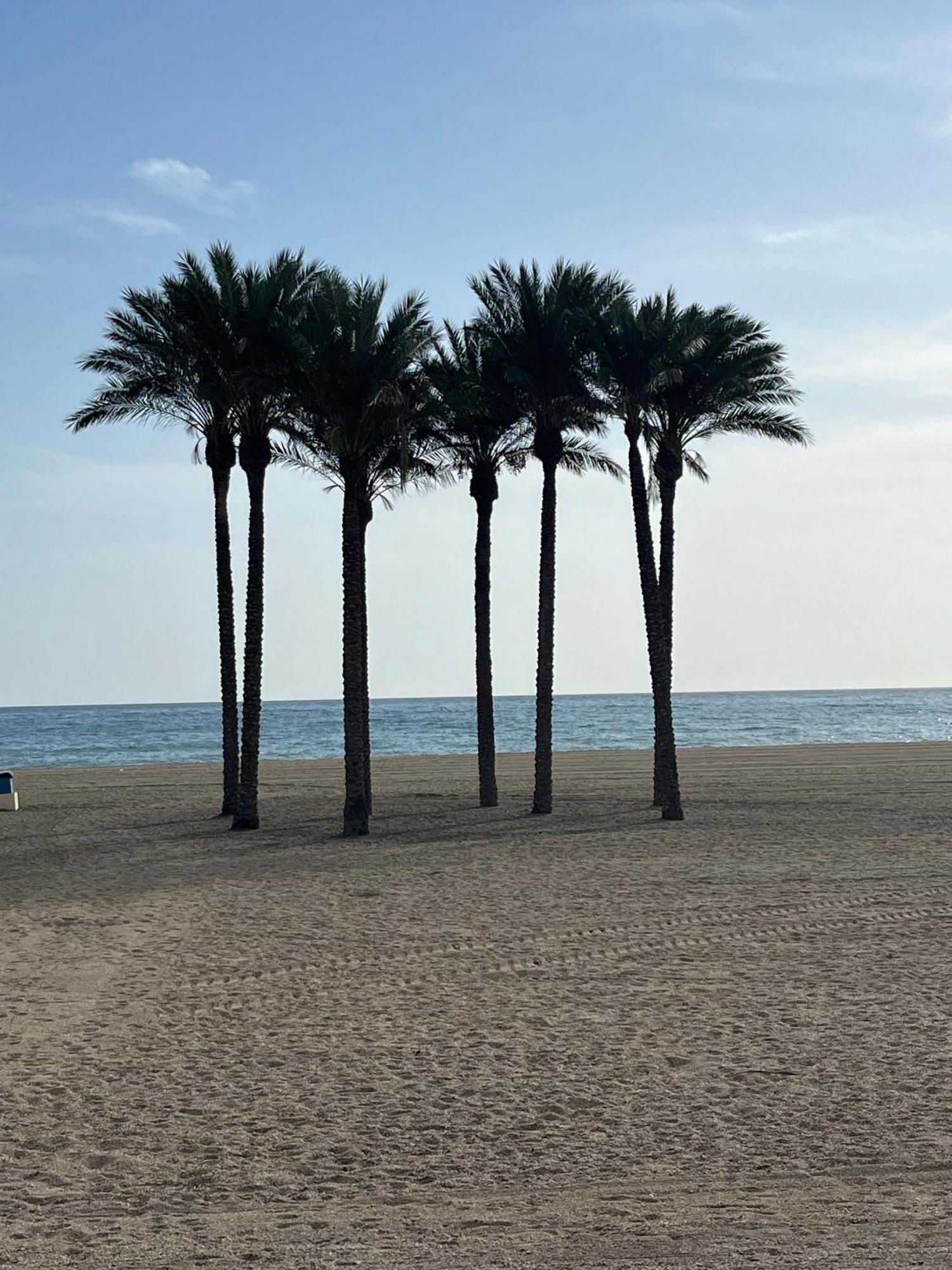 Apartamento 2 Bedroom Front Line Of The