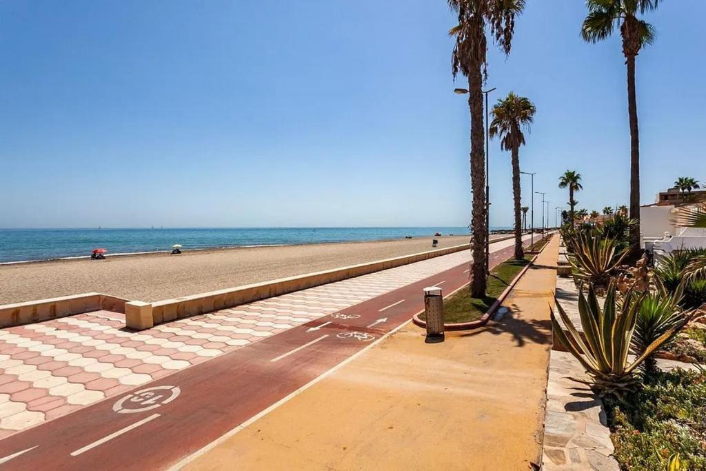 Sun And Relax At The Tropicana