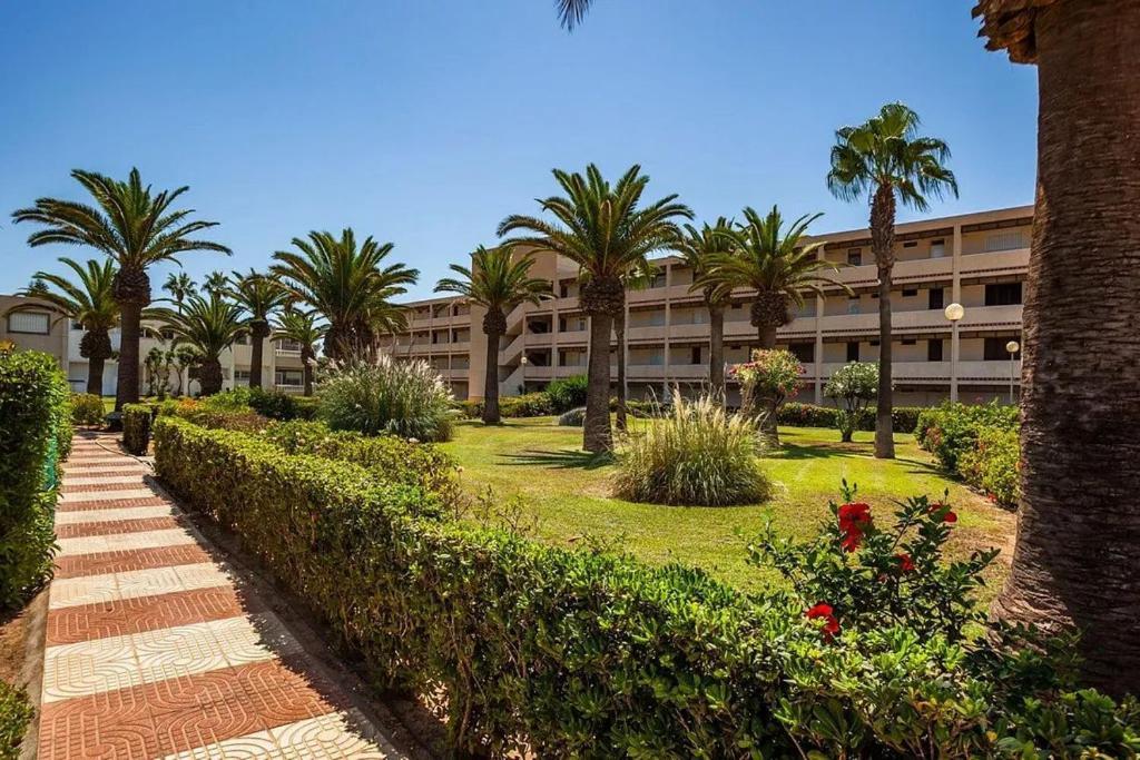 Sun And Relax At The Tropicana *