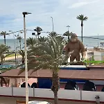 Arenales